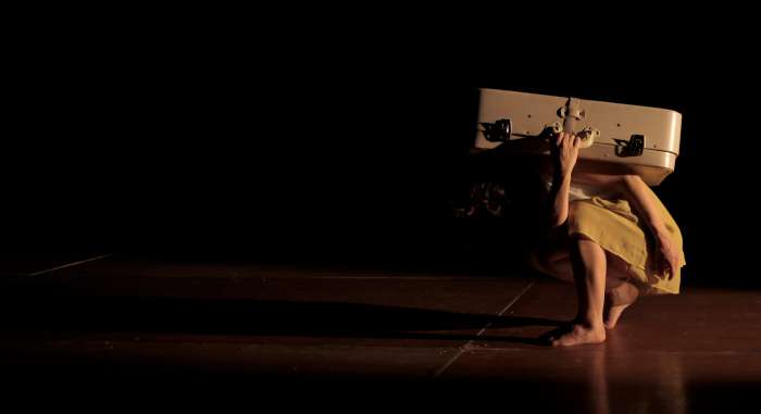 In Progress – Feedback Festival 2013