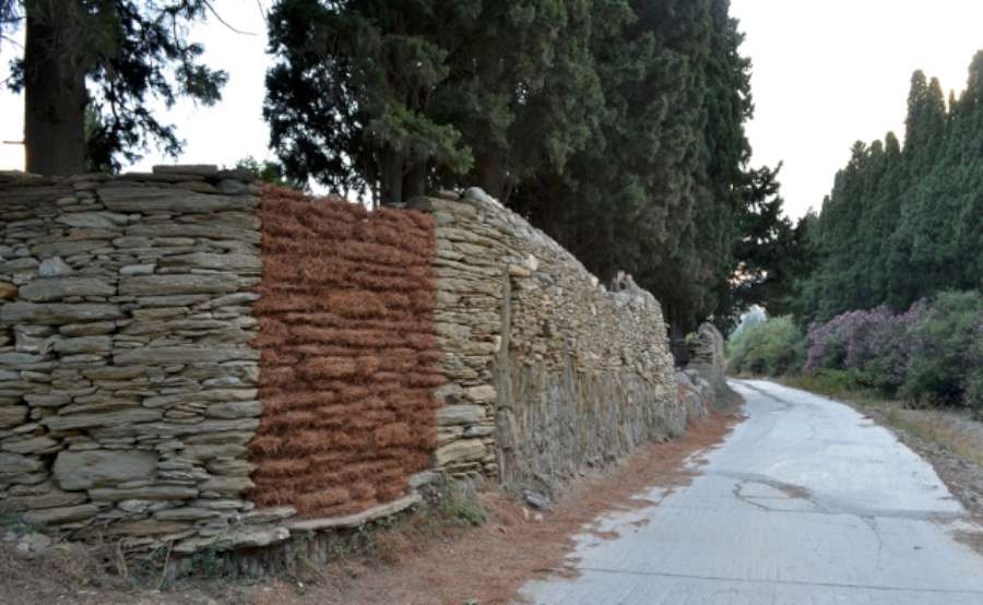 Συνέντευξη με την Εύα Τουρτόγλου Bony, εικαστικό