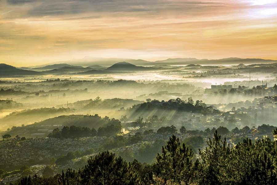 Landscapes
