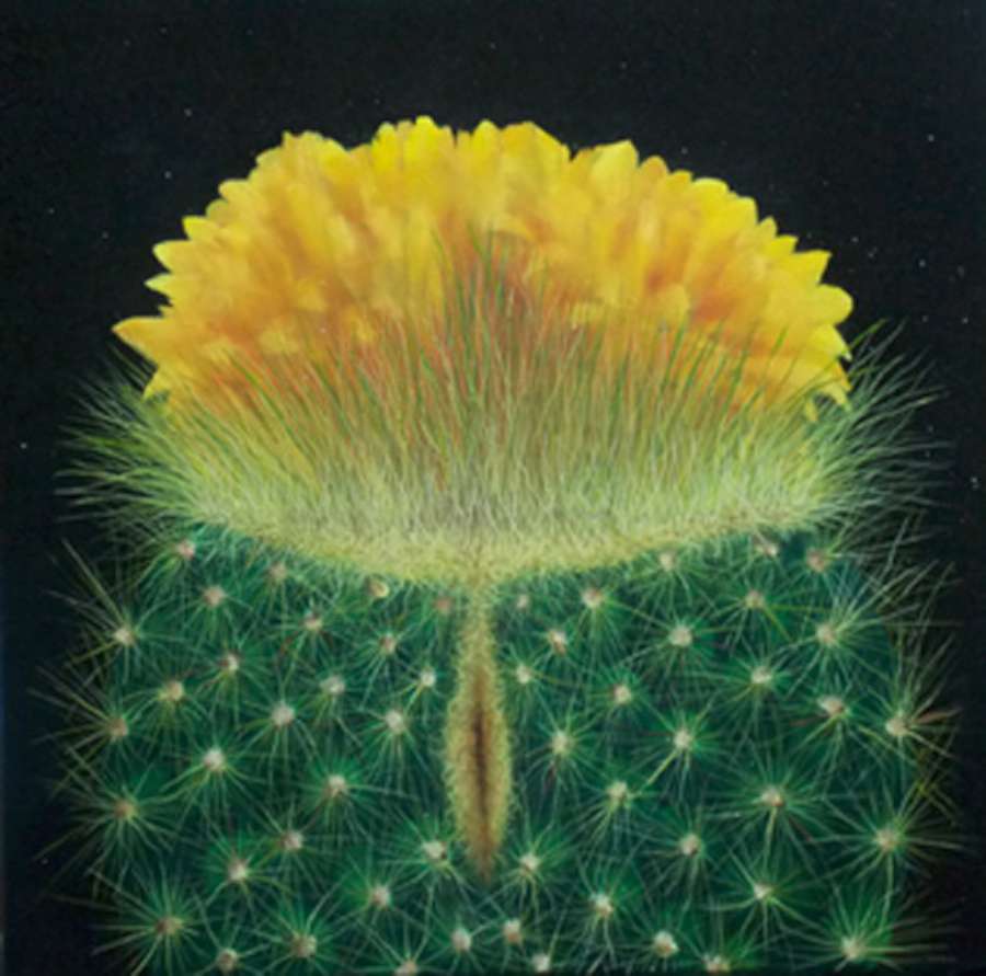 «Flowers and thorns»