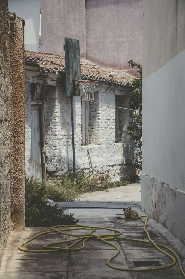 Synikismos Festival // Φεστιβάλ Συνοικισμός