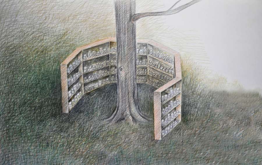 Libraries as Gardens: Libraries of Walks