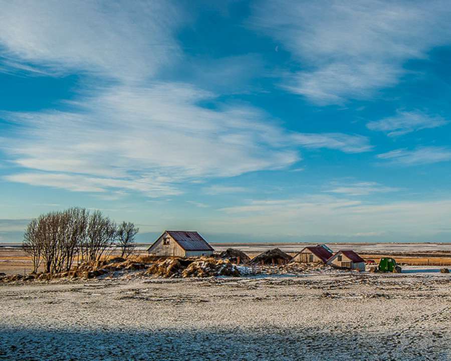 Winter