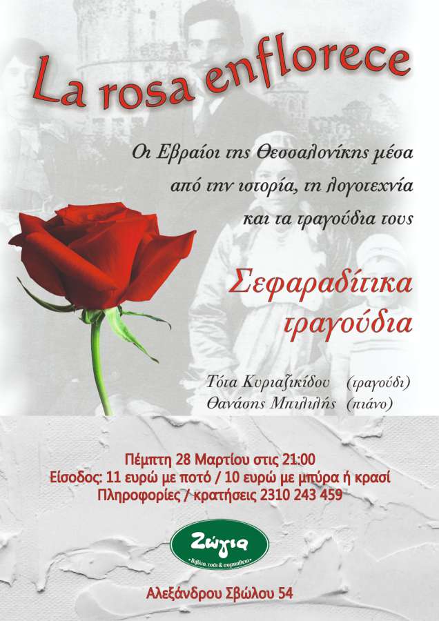 La rosa enflorece