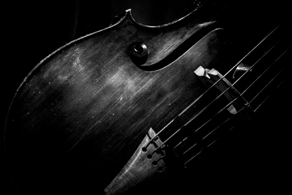Still Life
