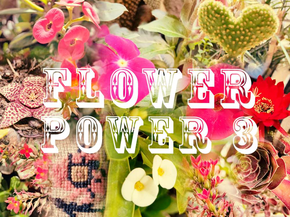 Flower Power 3