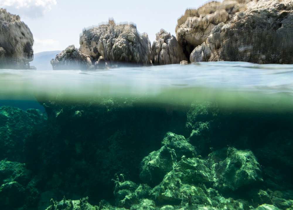 “Υποθαλάσσιες πολυμορφίες” / “Underwater diversities”