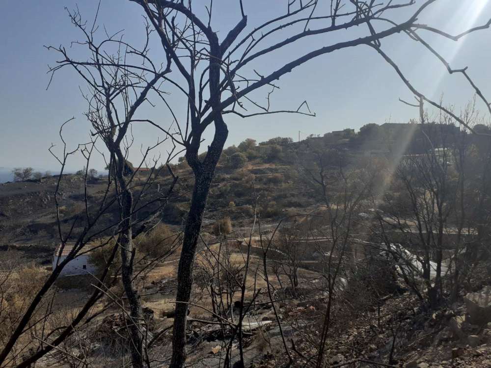 Η ΑΜΑΝΗ ΚΑΗΚΕ