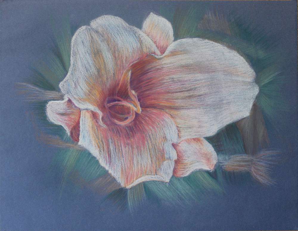 Σοφία Χατζηνικολαίδου, FLOWER, 2009, chalk-pastel pencils on  blue paper, 64 x 49,5 cm  (25,2 x 19,5in)